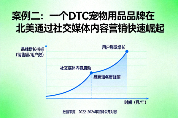 案例二：一个DTC宠物用品品牌在北美通过社交媒体内容营销快速崛起的增长曲线图